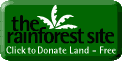 Colabora gratis con The rainforest site